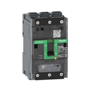 Schneider Electric C11H3TM063L Circuit breaker 1 pc(s)